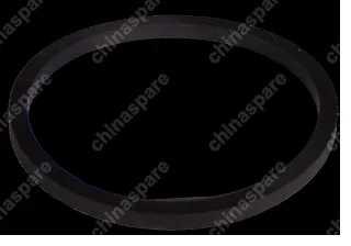 S123510031 Seal ring Chery Kimo