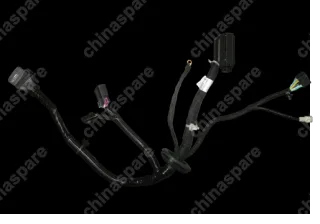 S123724840DA Проводка блока управления двигателем Chery Kimo