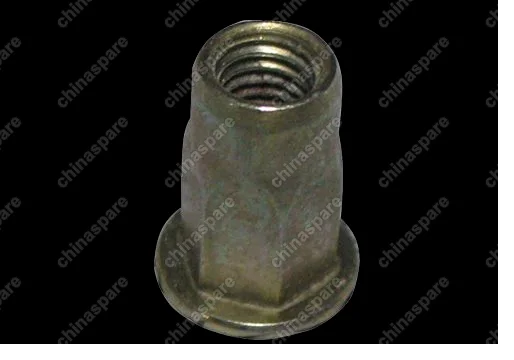 N90286801 Nut Chery M12