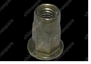 N90286801 Nut Chery M12