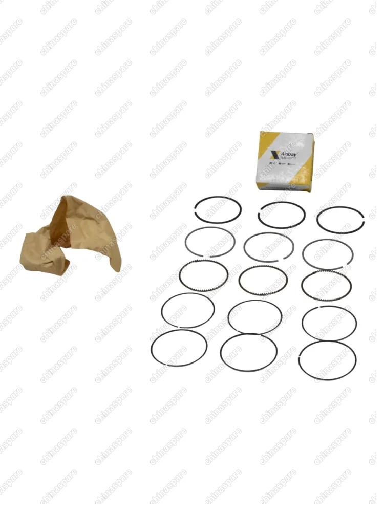 Кольца поршневые (0,25) Chery QQ