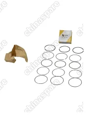 Кольца поршневые (0,25) Chery QQ