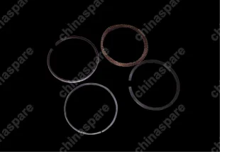 Кольца поршневые (0.50) Chery QQ