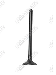 Клапан выпускной Chery QQ