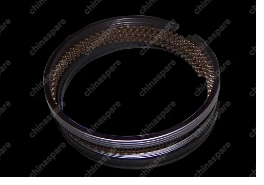 Кольца поршневые (0.25) Chery QQ