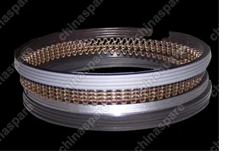 Кольца поршневые (0.25) Chery QQ