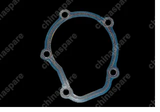 Прокладка насоса водяного (помпы) Chery QQ