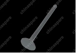 Клапан выпускной Chery QQ