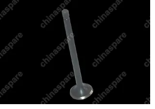 Клапан выпускной Chery QQ