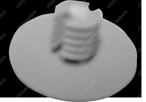 S115702025CA Clip - plastic Chery QQ