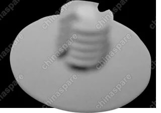 S115702025CA Clip - plastic Chery QQ