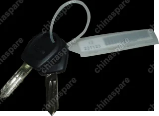 S118CB6105300 Ключ Chery QQ