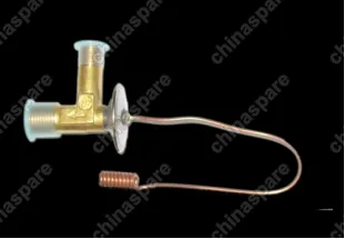S119EC8107710 Inflation valve assy Chery QQ