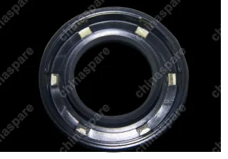 QR5123AJ1701151 Oil seal - input shaft Chery QQ