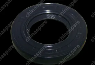 QR5123AJ1701151 Oil seal - input shaft Chery QQ