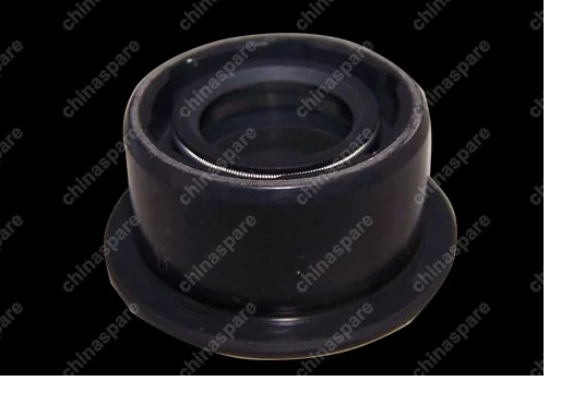 QR5123DE1702227 Dust oil seal-gearshift shaft Chery QQ