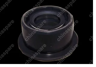 QR5123DE1702227 Dust oil seal-gearshift shaft Chery QQ