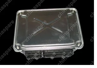 S113605010WA Ecu Chery QQ