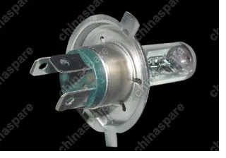 S113717017 Bulb Chery QQ