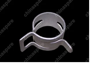 aq60119 Spring ring-separator-fuel&amp;air Chery QQ6