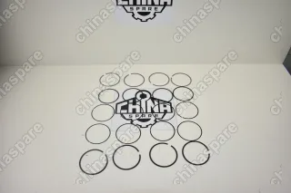 Кольца поршневые 473 Chery QQ6, Kimo, Indis