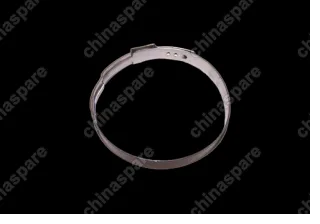S213400105 Clamp Chery QQ6