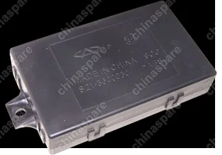 S219CG3600030 Controller -body Chery QQ6