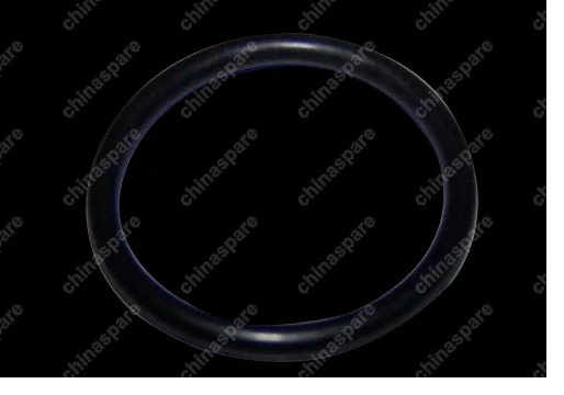MN171618 O ring Chery Tiggo