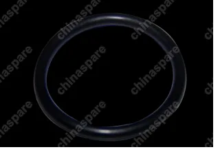 MN171618 O ring Chery Tiggo