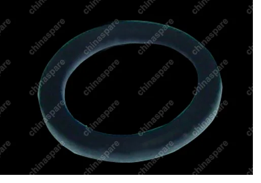 MD707200 O ring Chery Tiggo