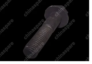 q1841045tf2 Bolt(m10x45) Chery Tiggo