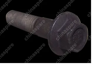 q1841045tf2 Bolt(m10x45) Chery Tiggo