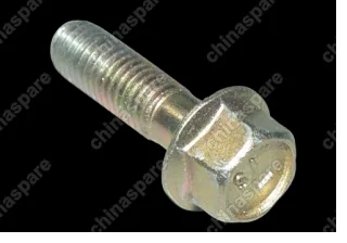 mf241256 Bolt with washer Chery Tiggo