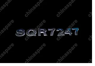 T113903013 Logo - sqr7247 Chery Tiggo