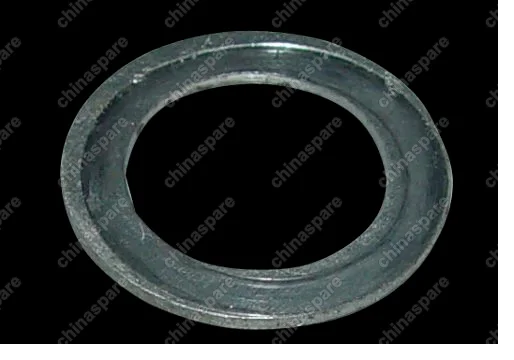 QR5233729501 Plain washer Chery Tiggo