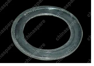 QR5233729501 Plain washer Chery Tiggo