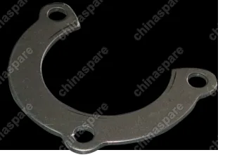 QR5231701205 Plate - seal Chery Tiggo