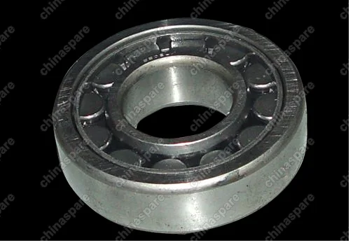 QR523T2403171 Bearing - differential Chery Tiggo