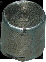 QR523T2401142 Cap bolt - vent way Chery Tiggo