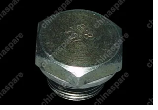 QR523T1802420 Plug - drain Chery Tiggo