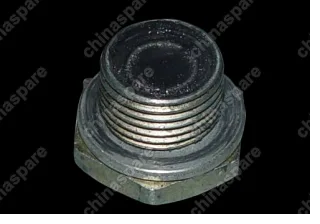 QR523T1802420 Plug - drain Chery Tiggo