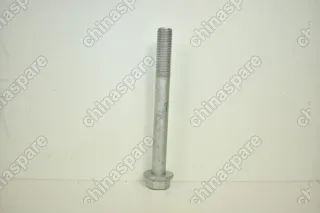 Болт развальный (эксцентрик) заднего рычага Chery Tiggo