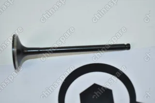 Клапан впускной FAW V5