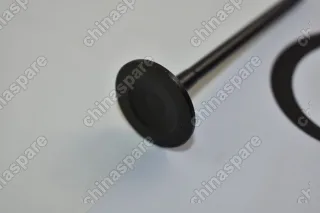 Клапан впускной FAW V5