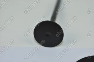 Клапан выпускной FAW V5