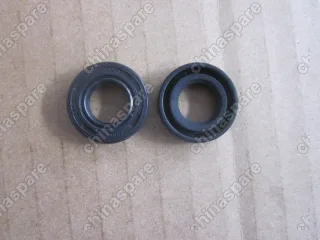 1066002075 Сальник Geely Emgrand EC7