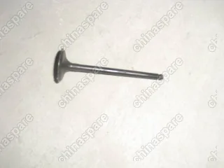 1016050778 Intake valve Geely Emgrand EC7