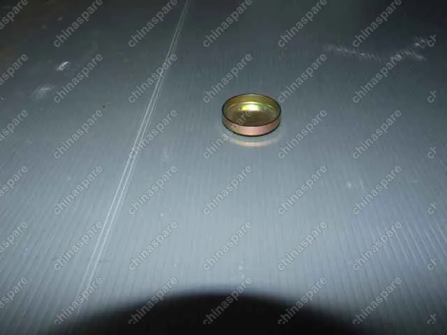 Заглушка блока цилиндров ?40 Geely MK