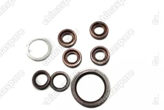 Комплект прокладок на двигатель (Евро-3) Geely MK Cross