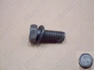 1701021001 Bolt w/sprg washer kit Great Wall Coolbear